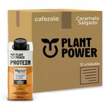 Bebida Vegana Plant Power Caramelo Salgado Kit 12 Unid 250ml