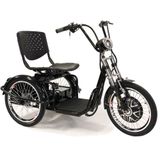Triciclo Eletrico 800w Freio A Disco Com Re Farol E Alarme Fox Preto Duos Bike