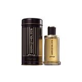 Perfume Linn Young Work Style Masc 100ml