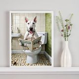 Quadro Divertido De Banheiro - Bull Terrier Jornal 45x34cm
