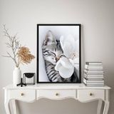 Quadro Decorativo Gatinho Com Flor Branca 24x18cm - Vidro