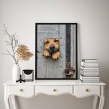 Quadro Decorativo Cãozinho Caramelo 45x34cm - Com Vidro