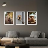 Kit 3 Quadros Decorativos Cachorro Caramelo 33x24cm - Vidro