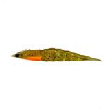 Matadeira Isca Artificial New Camarão Robaleiro 7,8cm Cor24