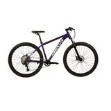 Bicicleta Aro 29 Absolute Nero 5 Aluminio 12v Garfo Com Trava K7 Freios Hidráulicos Kit 1x12 - Roxo Tam.19
