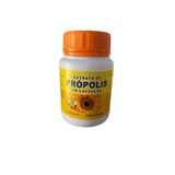 Extrato De Própolis 30 Cápsulas Kit 12 Frascos