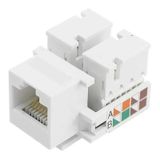 100 Conectores Keystone Rj45 Cat5e Fêmea Branco Novo