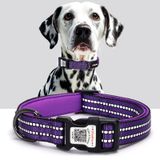 Coleira Reflexiva Para Cães Ilfindyou Com Etiqueta De Código Qr Purple M