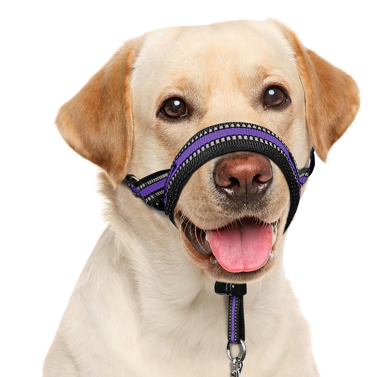 Coleira De Cabeça Para Cães Barkless Soft No Pull Padded Training Xl