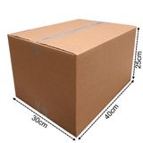 25 Caixa De Papelão 40x30x25 Parda Tipo Maleta