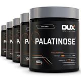 Kit 5 Palatinose Dux Sem Sabor 400g
