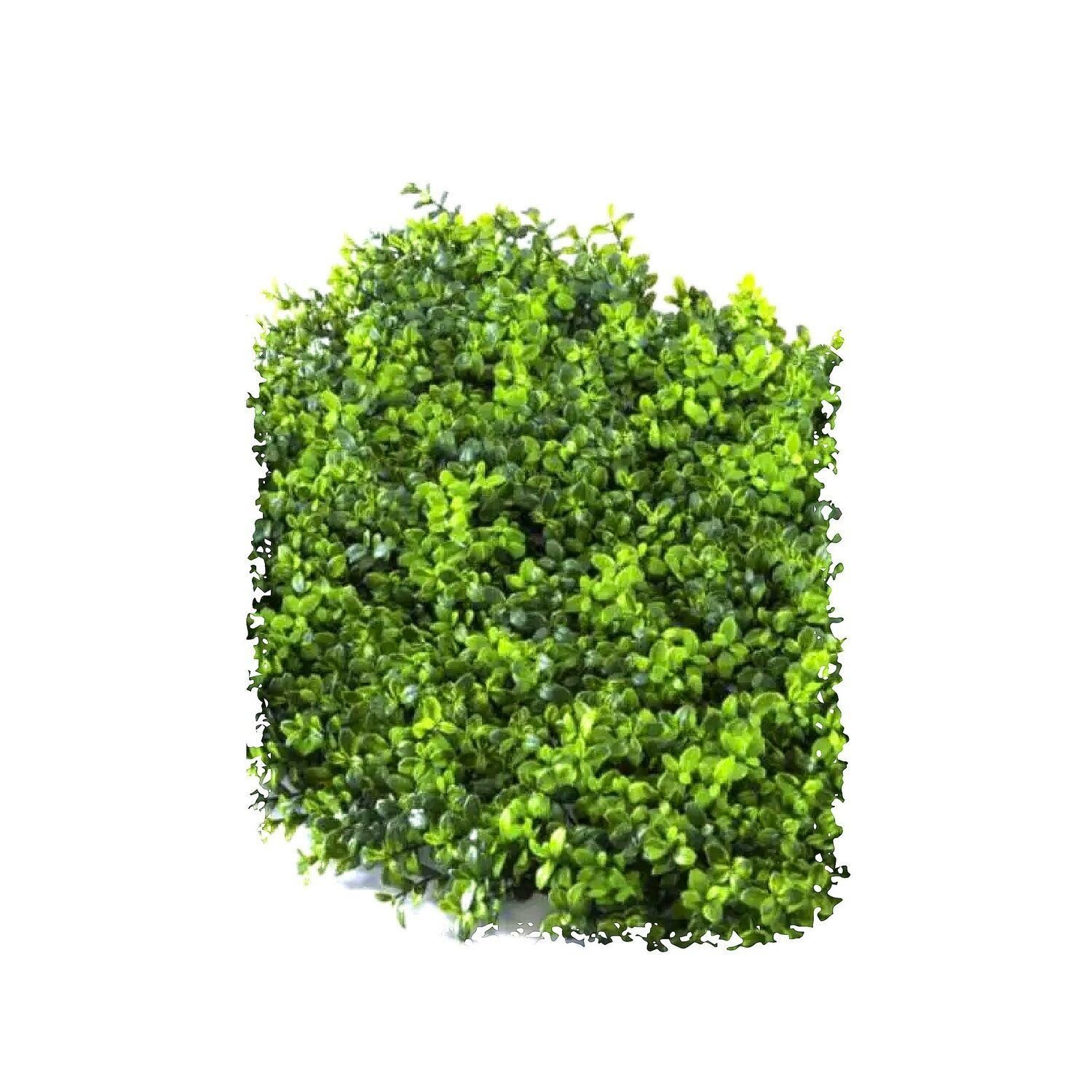 Jardim Vertical Permanente Primavera 50cm X 50cm Formaco Decor Verde