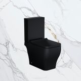 Vaso Sanitário Com Caixa Acoplada E Assento Soft Close Sentiero Acqua Casa Preto Matte