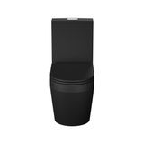 Vaso Sanitário Com Caixa Acoplada E Assento Soft Close Vulcano Acqua Casa Preto Matte