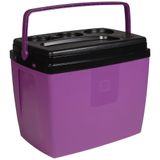 Caixa Termica Cooler Pequeno 19 Litros Bel Preto Acai 26 Latas 071981