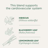 Chá, Medicamentos Tradicionais, Hibisco Orgânico, 16 Saquinhos De Chá X2