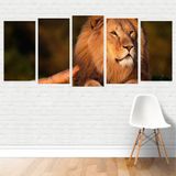 Quadro Animais - Felinos Leão Deitado 155x65 Em Tela Canvas