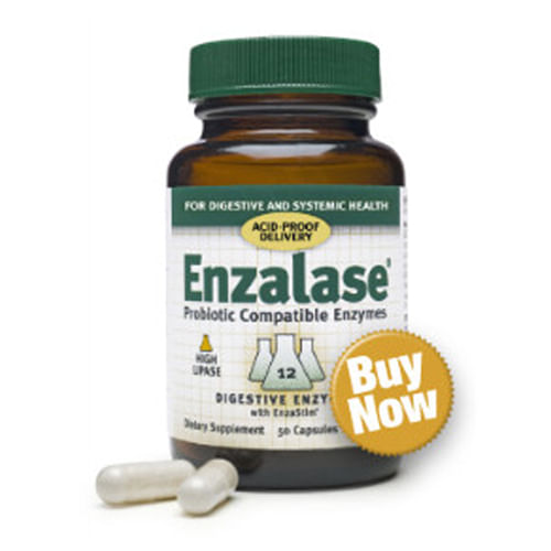 Enzalase Digestive Enzima Suplemento 50 Caps Por Suplementos Mestres