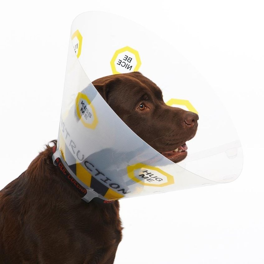 Colar Elizabetano Pet Para Cães Kruuse Buster Design Uc 10cm - imagem 2
