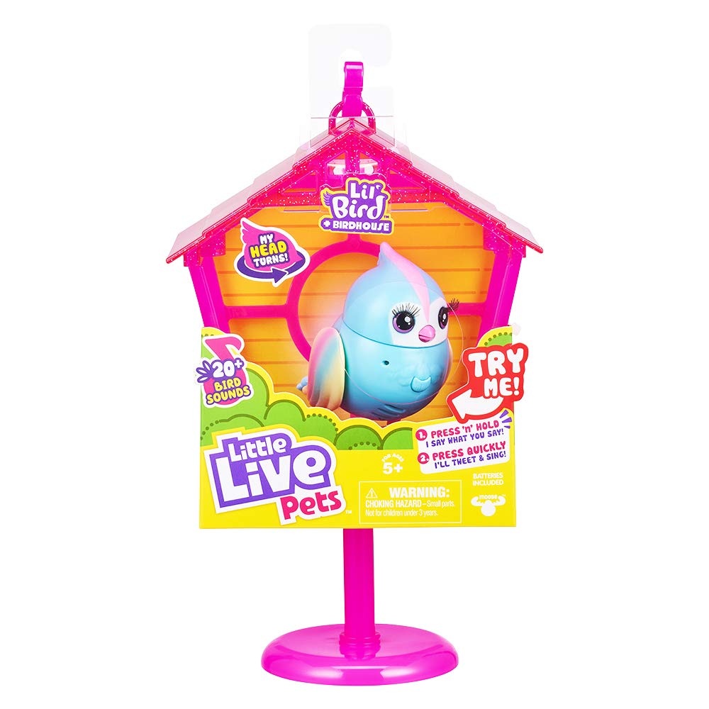 Casa De Pássaros Arco-íris Cantantes - Alegria Na Criação