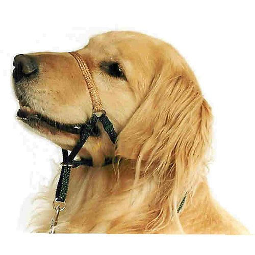Head Halter Comfort Trainer Para Cães, Vermelho, Tamanho 4