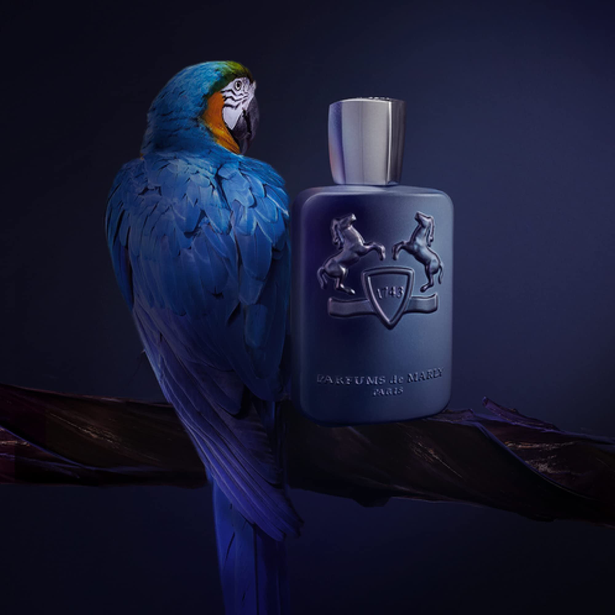 香水(ユニセックス) PARFUMS de MARLY LAYTON 125ml Perfume Parfums De Marly Layton Eau De Parfum 125ml Para Homens