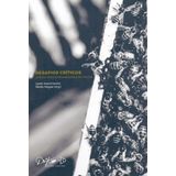 Desafios Críticos - Literaturas Estrangeiras Em Pautas