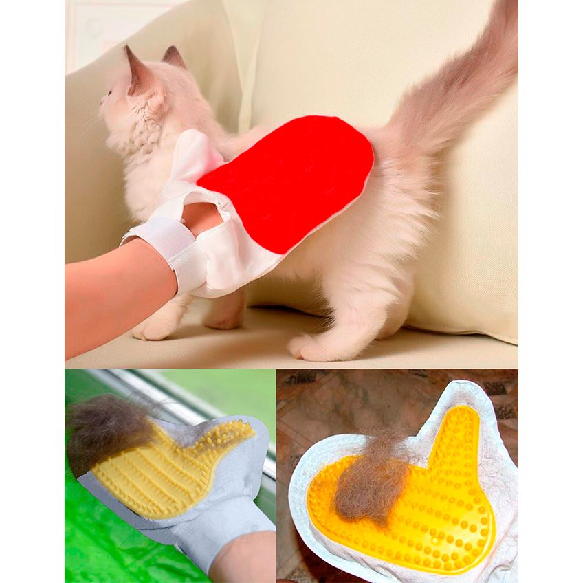 Nova Luva Magnetica Pente Massageadora E Remove E Tira Pelo Banho E Tosa Pet Shop Cães Animais Escova Cachorros E Gatos - imagem 4