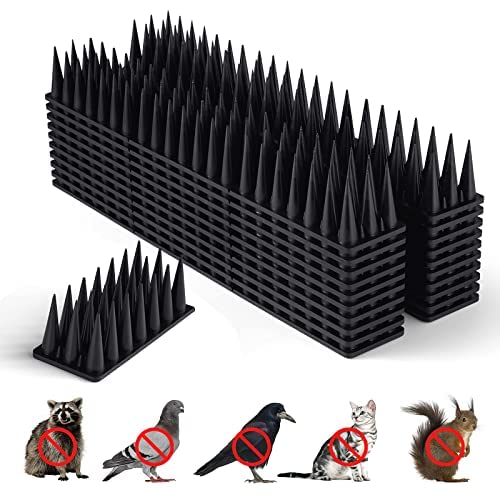 Bird Spikes Borhood Pigeon Deterrent, Pacote Com 20 Unidades Para Pássaros Pequenos