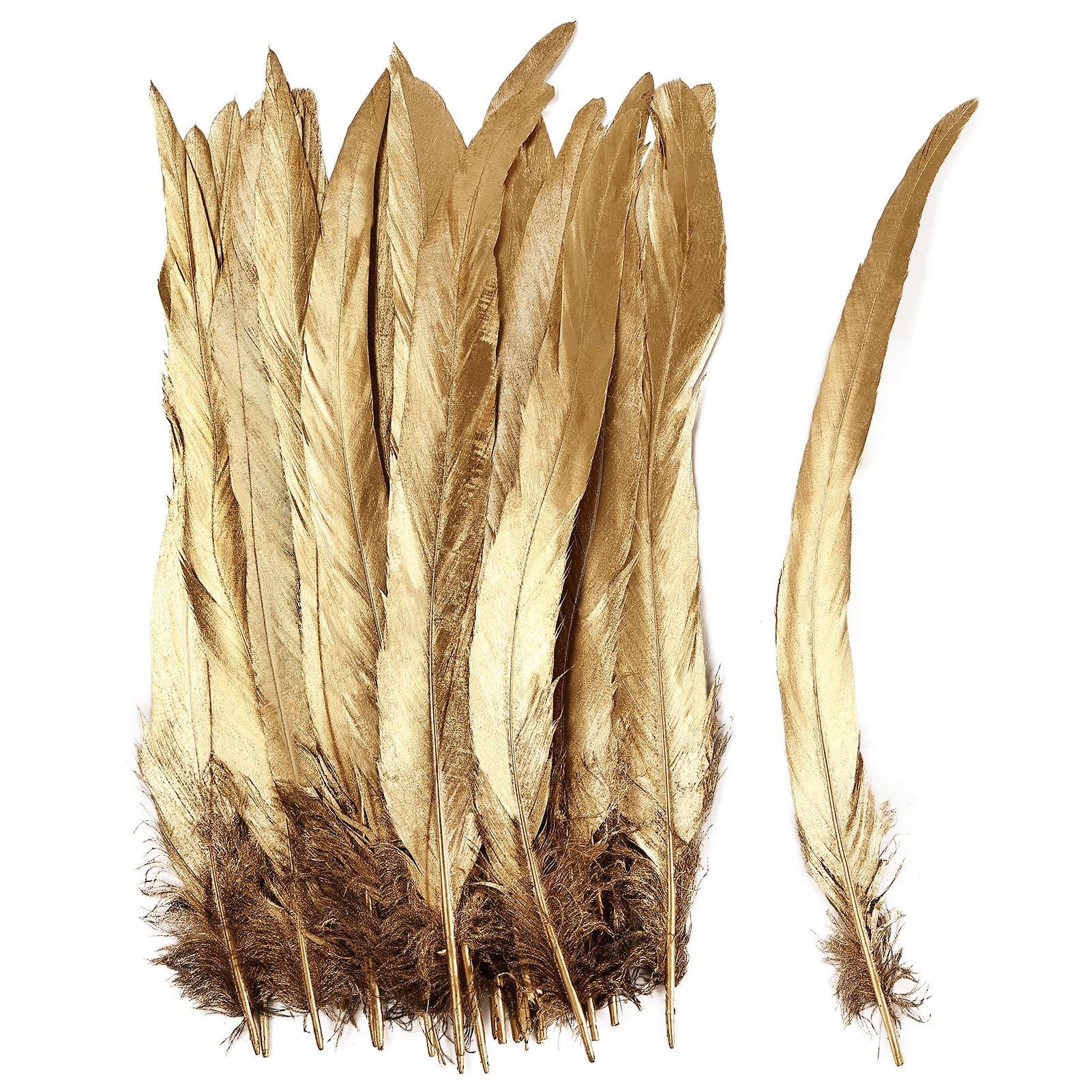 Penas De Cauda De Coque Rooster 50 Unidades De Ouro Natural De 25-30 Cm