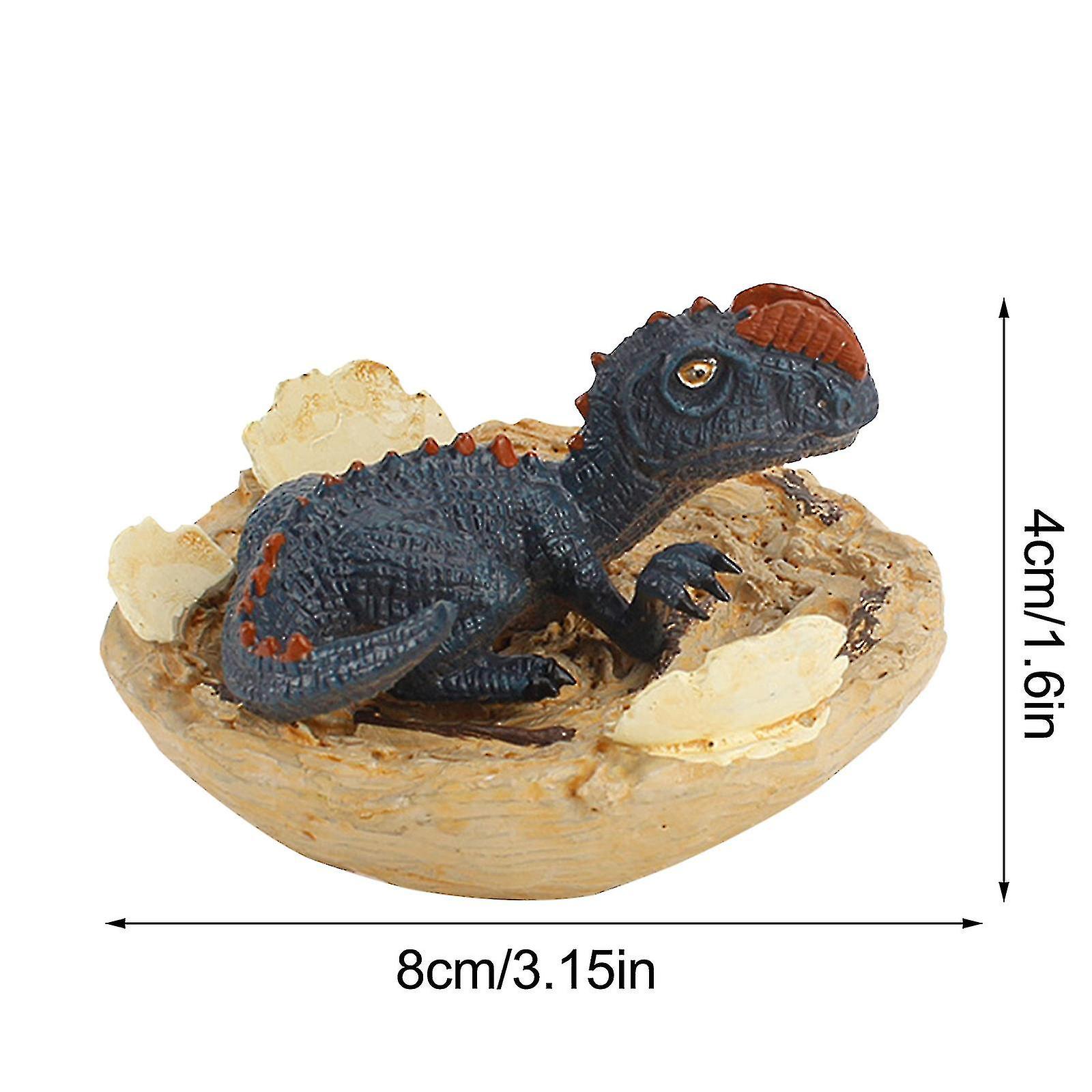 Metade Da Eclosão De Dinossauros Shell Broken Dinosaur Model Toy W