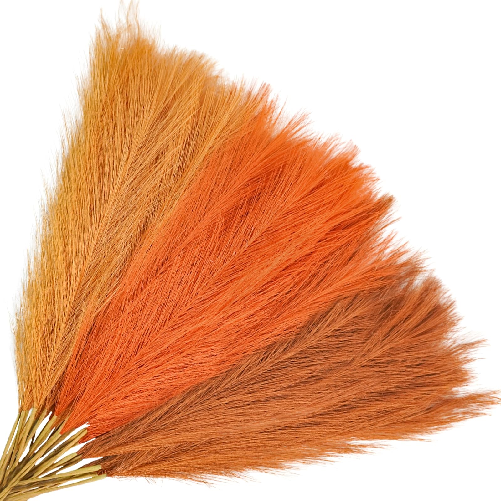 Capim-dos-pampas Artificiais, Laranja Agusbagli, 30 Unidades, 55 Cm De Altura