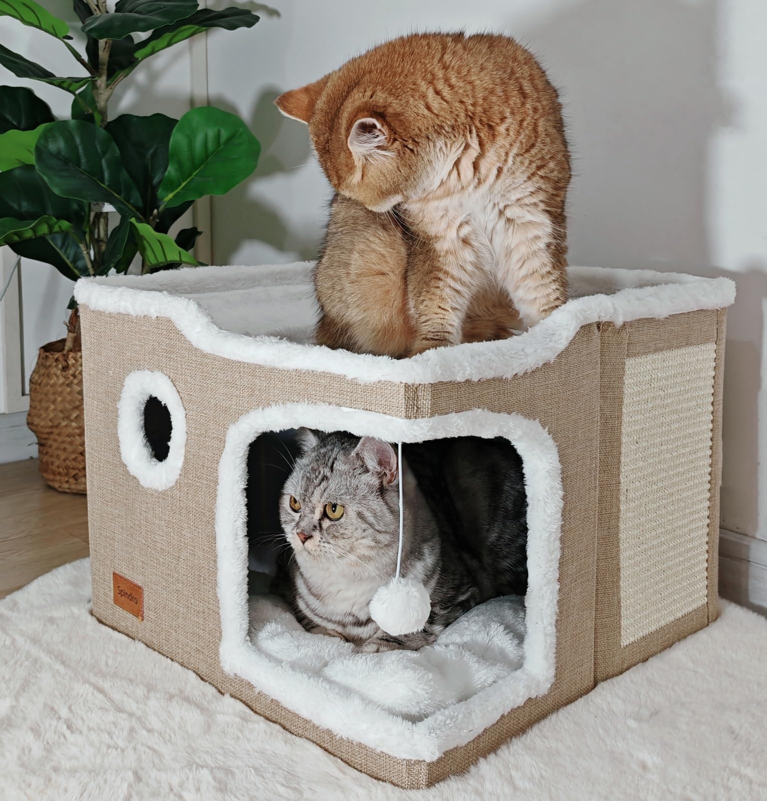 Cat Bed Spindro Large Dobrável Para Interior Com Scratch Pad De 30 Libras