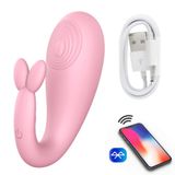 Vibrador Calcinhas Brinquedos Sexuais Para Mulheres App