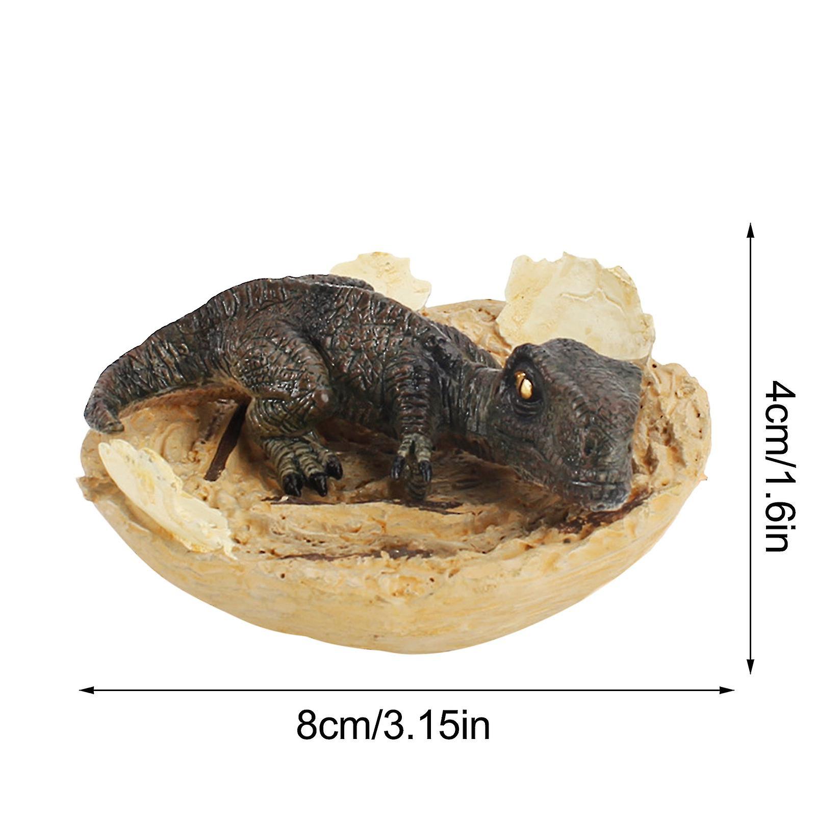 Metade Da Eclosão De Dinossauros Shell Broken Dinosaur Model Toy W