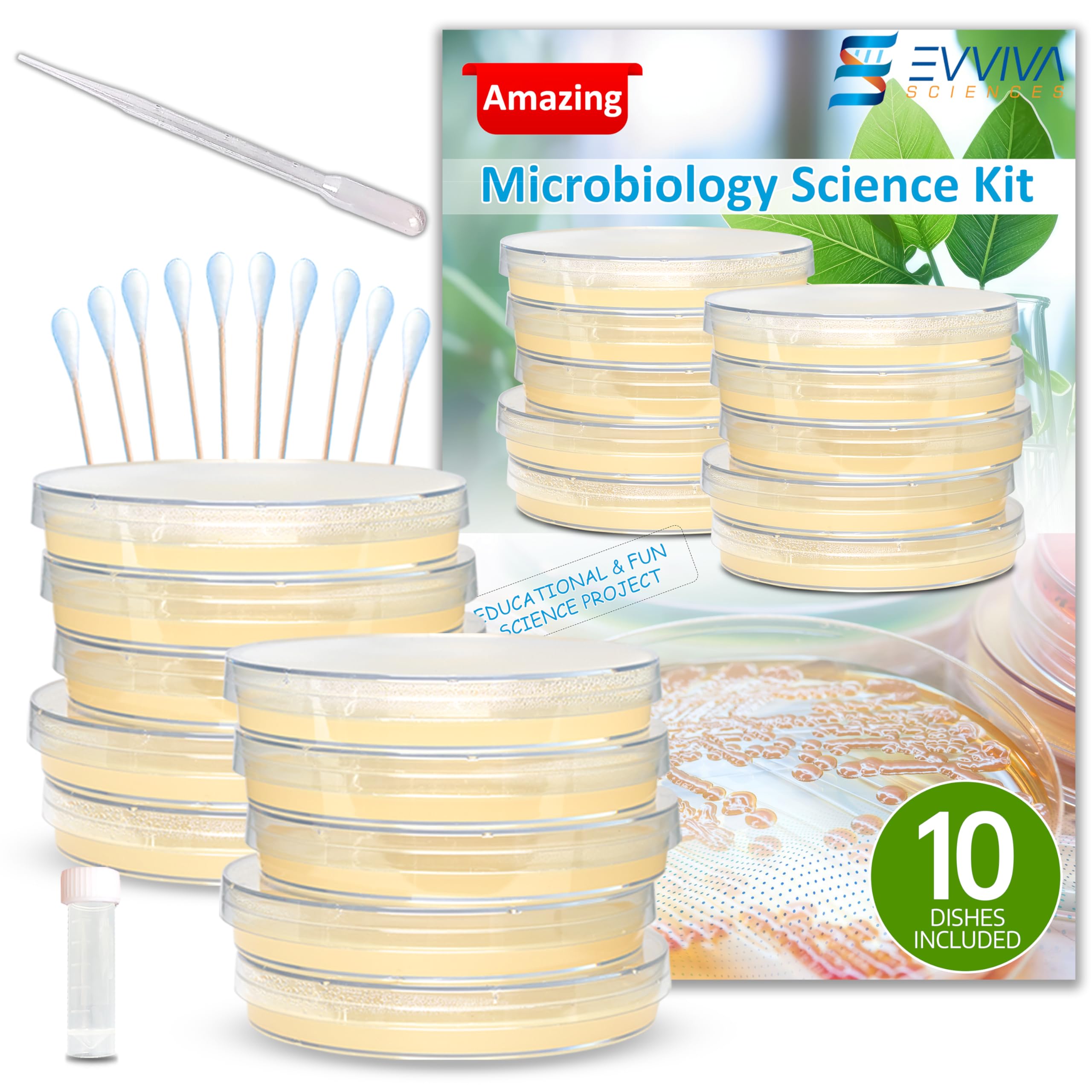 Kit De Projeto Científico Evviva Sciences Microbiology Com Agar Pla