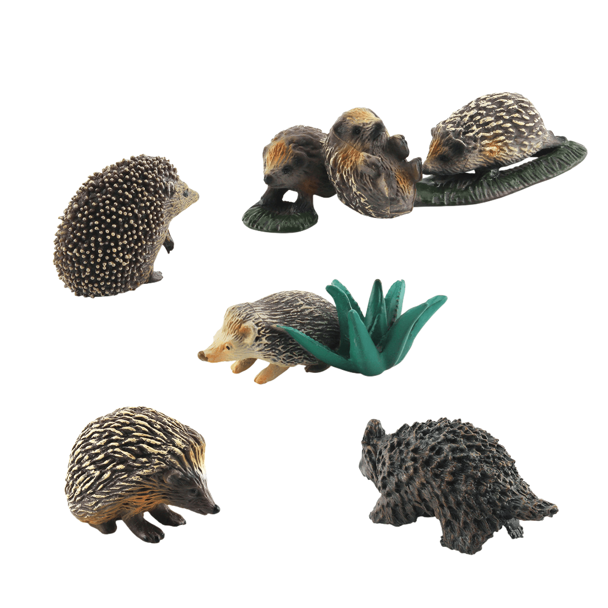 Conjunto De Estatuetas Realistic Hedgehog, 5 Peças, Pvc Wild Mammal