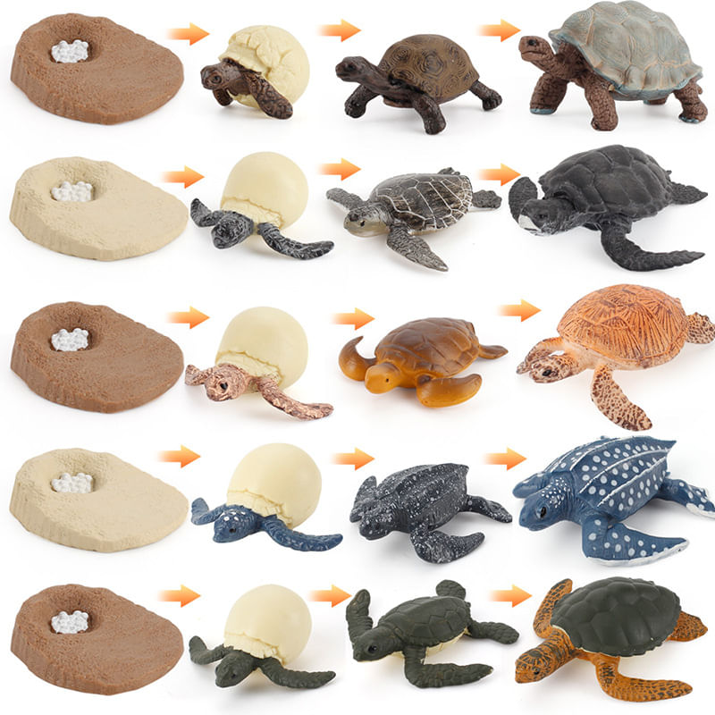 Conjunto De Bonecos Sea Turtle Life Cycle De 20 Peças Para Crianças