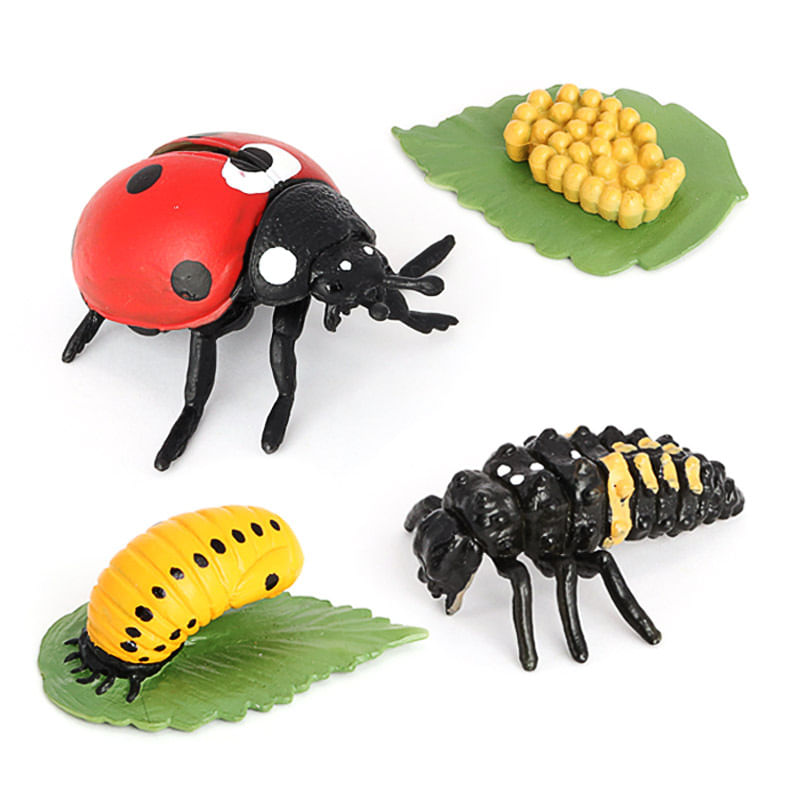Conjunto De Figuras Ladybug Life Cycle Pvc Models Educational Kids