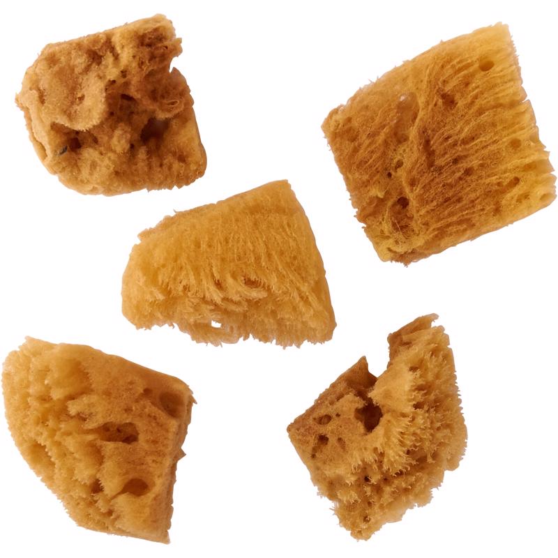 Sea Sponge Plaid Foldart Sortido, Pacote Com 5