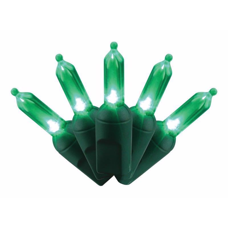 String Lights Celebrations T5 50 Led Verde 7,8 M