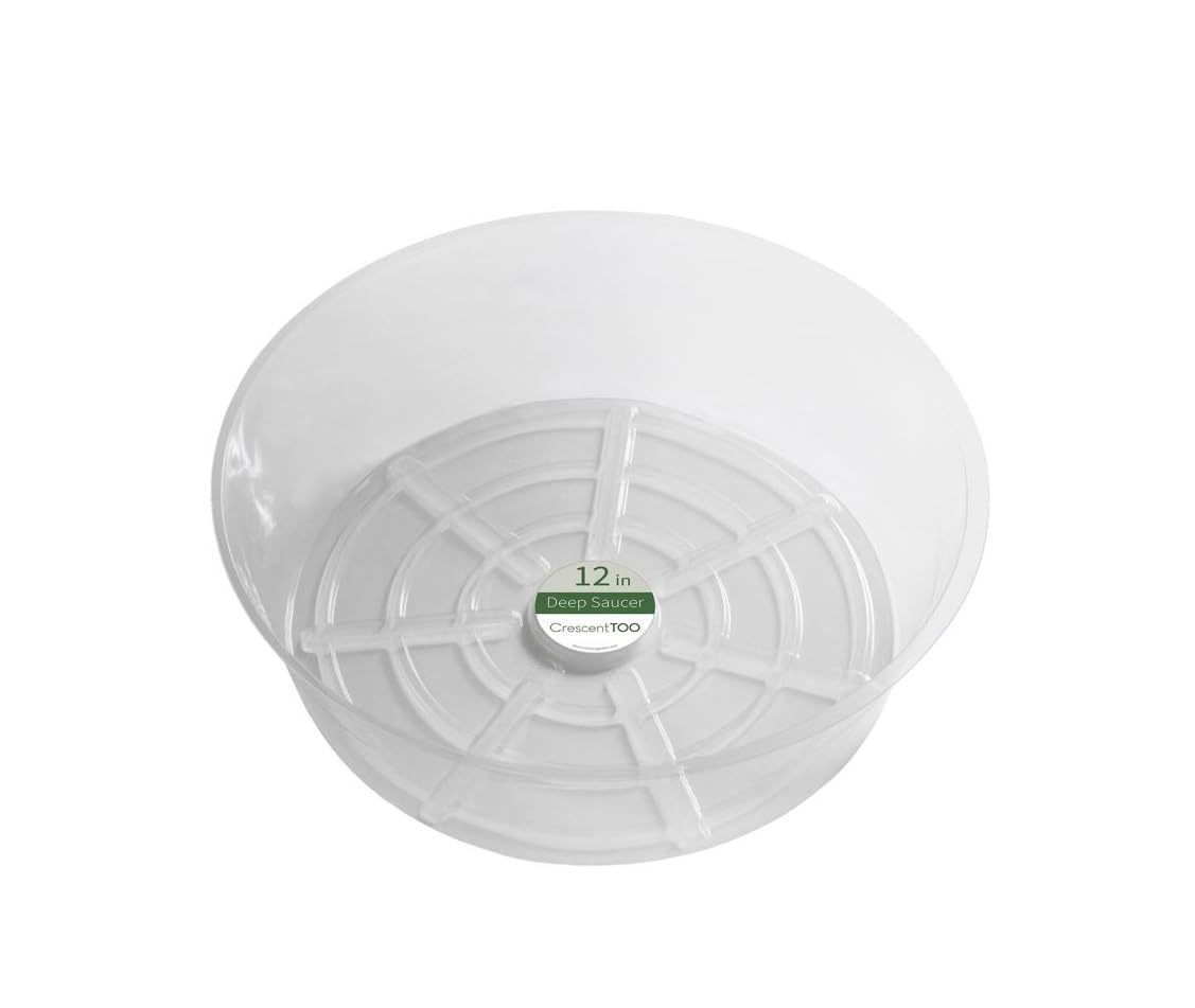 Plant Saucer Crescent Too 12" Clear