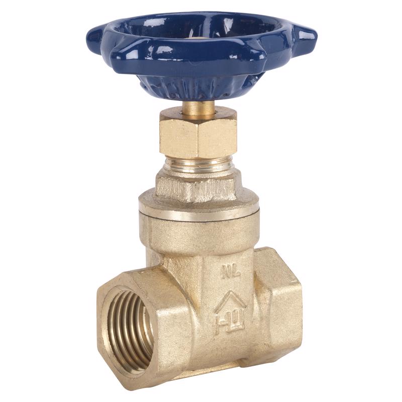 Gate Valve Homewerks Brass 2 Polegadas Fip 125 Psi 210° C Pacote Com 2