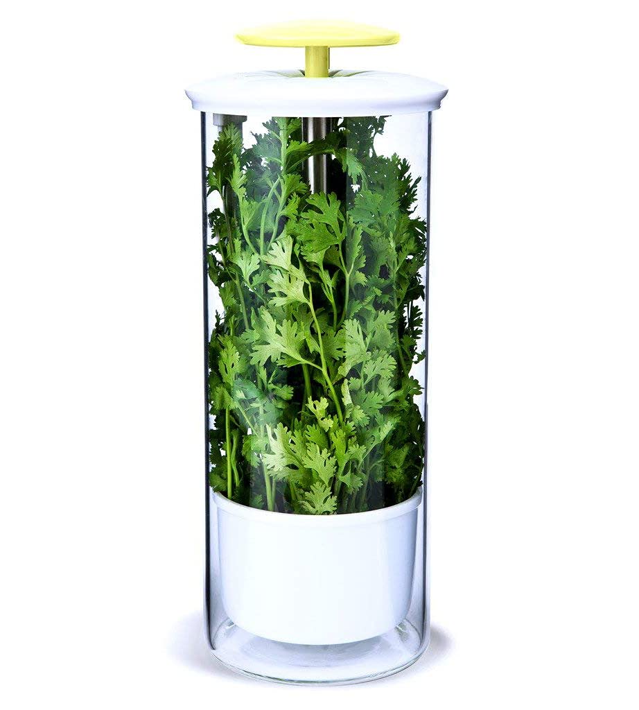 Recipiente De Armazenamento De Vidro Herb Keeper Novart Xxl 4,7 L