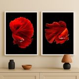 Kit 2 Quadros Decorativos Peixes Beta 24x18cm