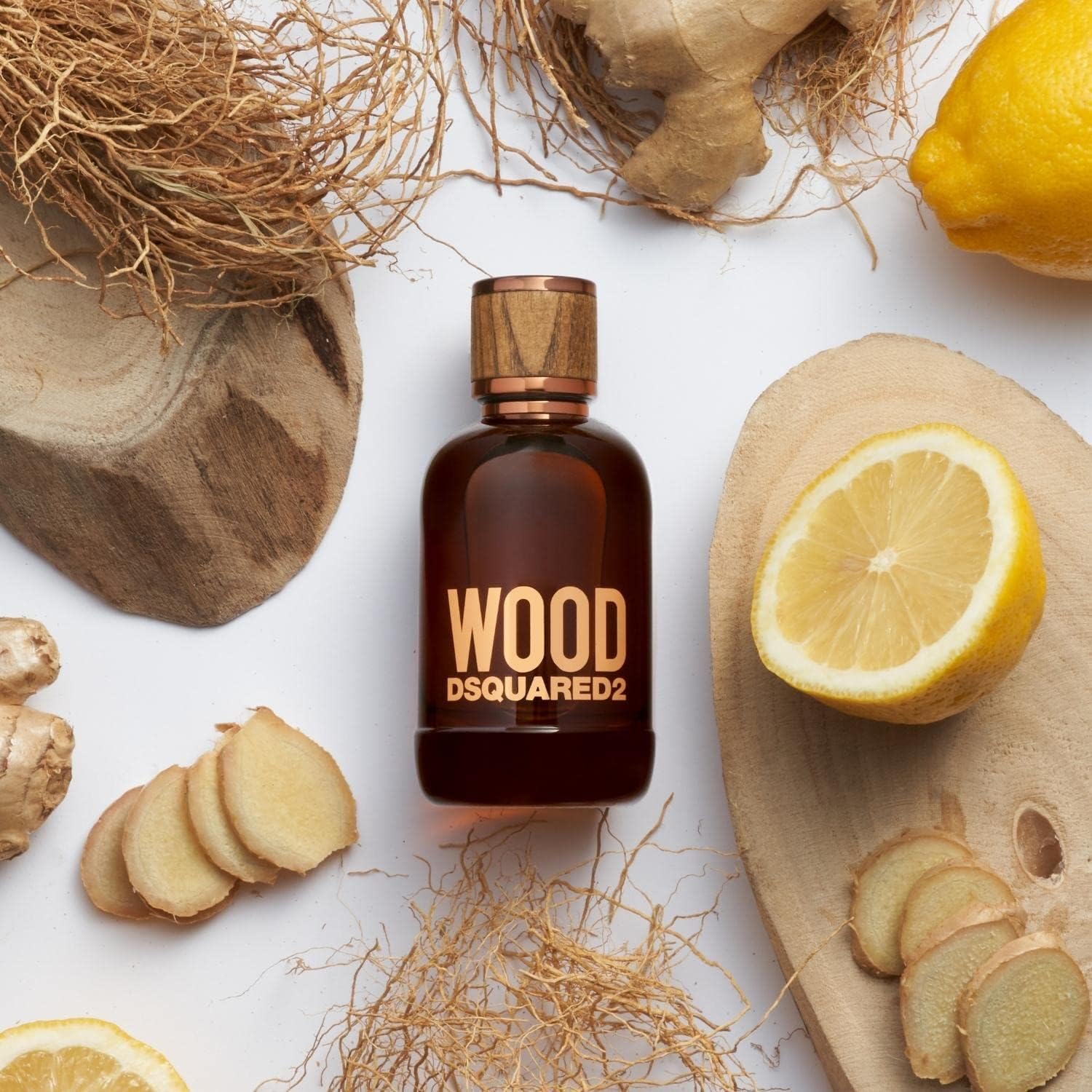 Perfume Masculino Dsquared2 Wood Eau De Toilette 100ml - Carrefour