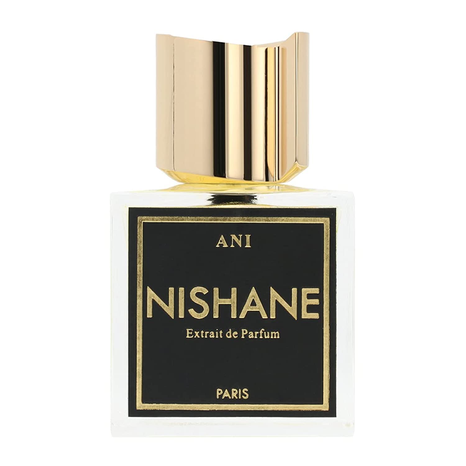 Perfume Nishane Ani Extrait De Parfum 100ml Em Spray Unissex