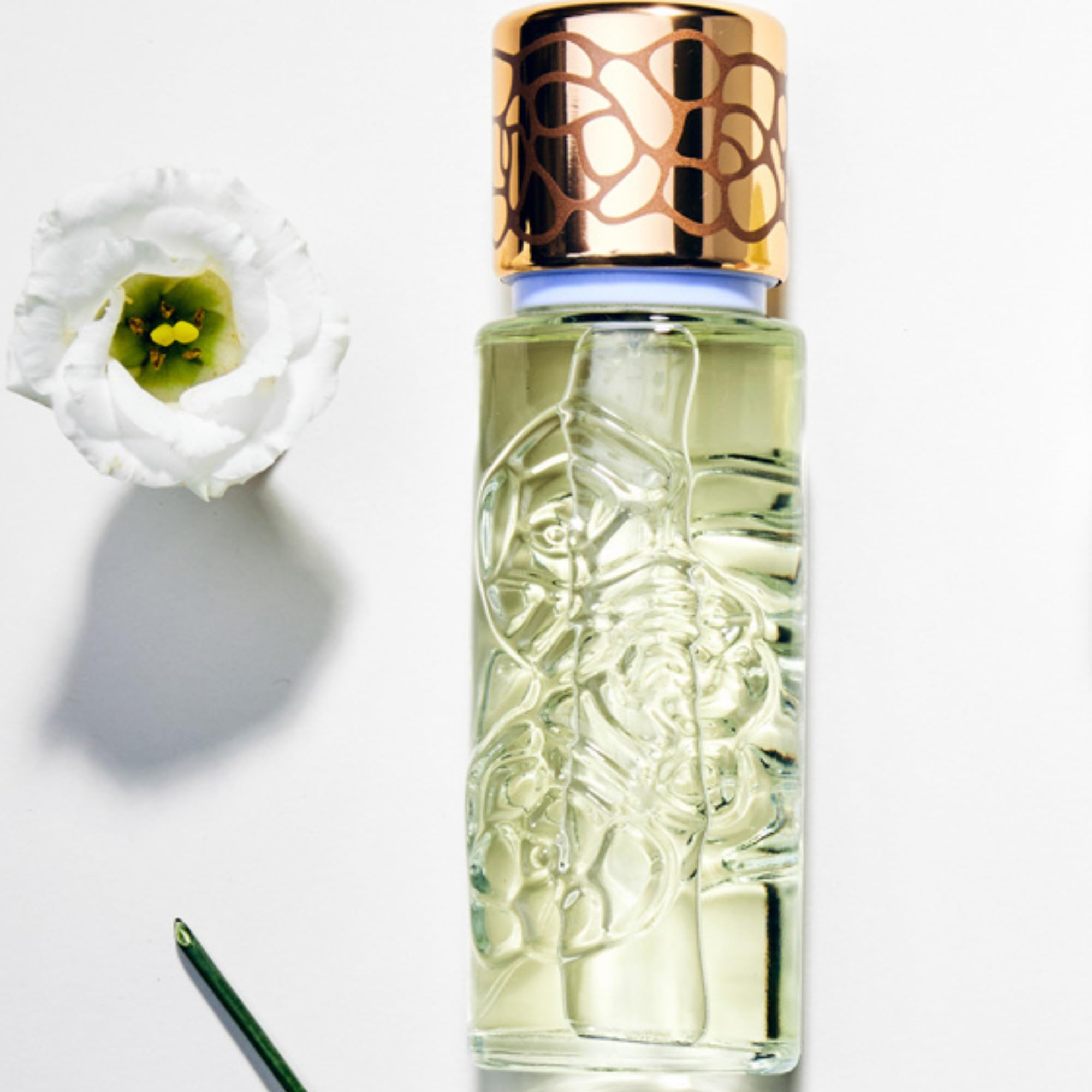 Perfume Houbigant Quelques Fleurs Jardin Secret Eau De Parfum