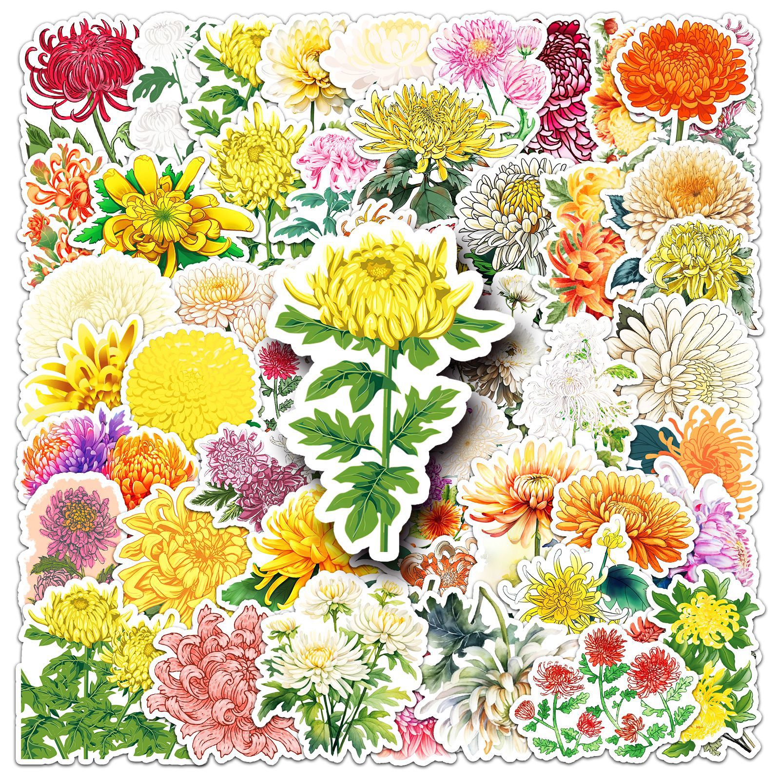 Pacote De Adesivos Com Tema De Crisântemo, 50 Unidades De Vinil Colorido