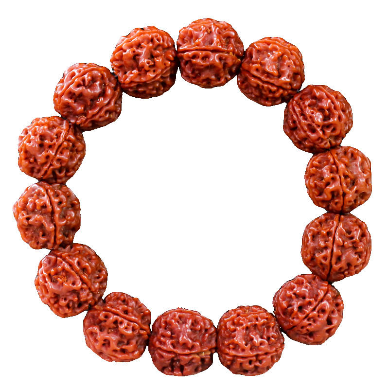 Pulseira Natural Rudraksha, Contas De 20 Mm, Corpo De Cinco Faces Do Nepal